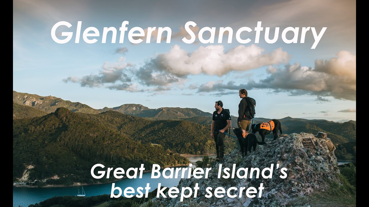Great Barrier Island best kept secret: Glenfern Sanctuary.