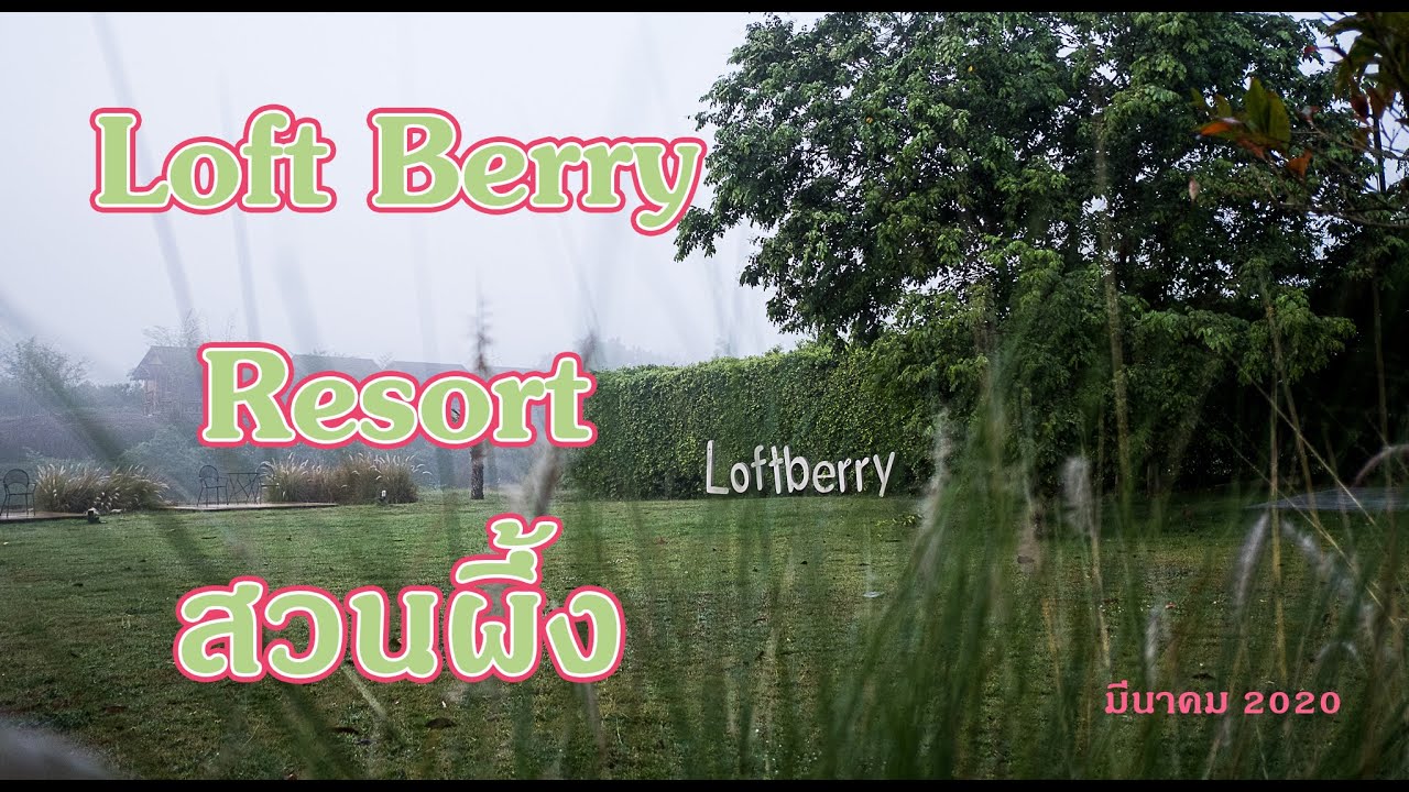 รีวิวที่พัก Loft Berry Resort สวนผึ้ง