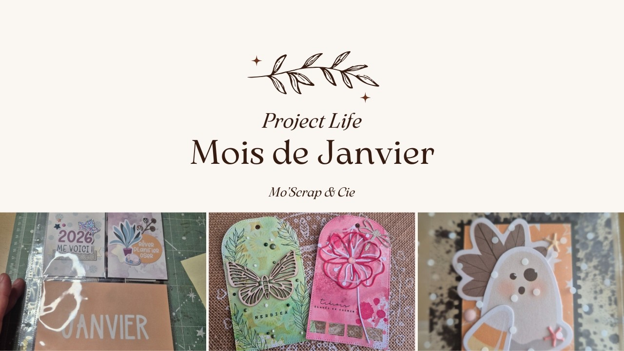 Project Life Janvier 2026