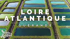 LOIRE-ATLANTIQUE - Guérande | Maximilien [4K Drone]