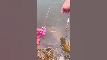 Cần câu mini #shorts