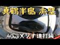 真鶴赤壁でメジナ釣り 40up連発 前編 #フカセ釣り #磯釣り #メジナ釣り MANCING MANIA JAPAN