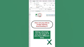 🇺🇸 EXCEL TRICKS: 📸 The new IMAGE function #shorts