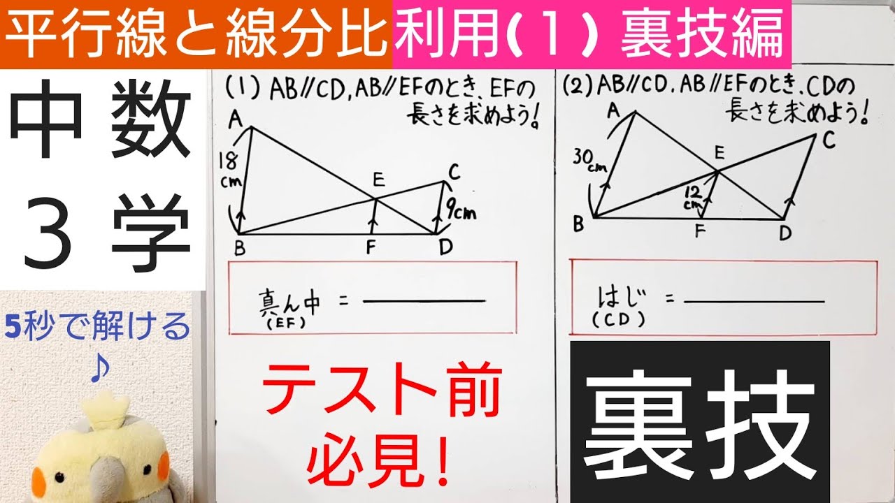 中3数学 15 平行線と線分の比の利用 1 裏技 Youtube