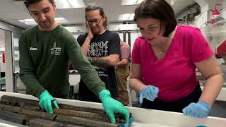 Video 6 The Transect