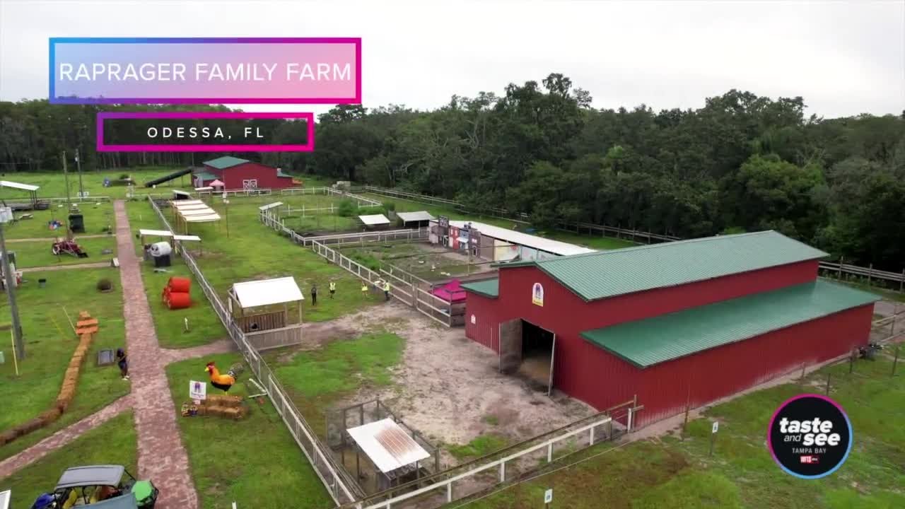 Raprager Family Farm's Fall Pumpkin Festival in Odessa, FL YouTube