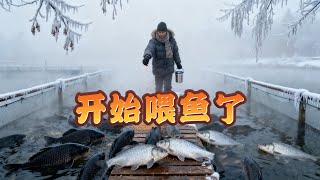 水族饲育小站 – Aqua Care Station – アクアケアステーション 2025-11-26 07:40:01