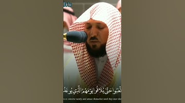 سورة الزخرف ( ٨١ - ٨٥ ) | الشيخ ماهر المعيقلي