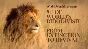 From Brink of Extinction to Booming Numbers: India