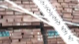 Stop au bois illegal Les Amis de la Terre 13 05 08