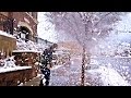 Idiot Kicks Snow Off Tree
