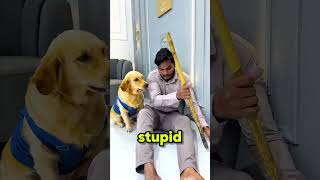 This dog was just protecting his owner.😨