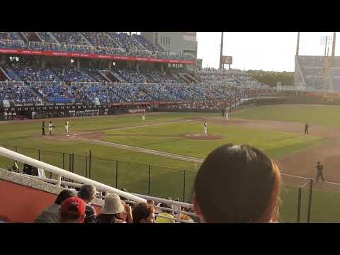 20200712林智勝兄弟應援