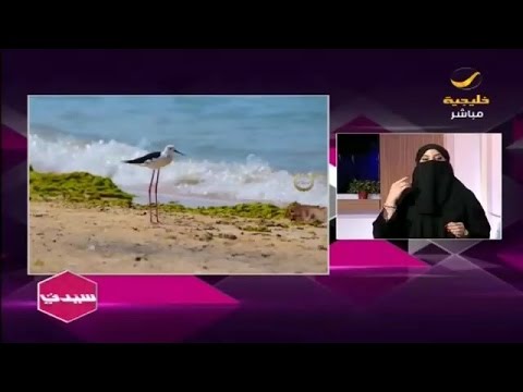 سارة الغامدي مدربة تصوير احترفت في البورتريه والسيتي سكيب كنوع مميز بالمملكة