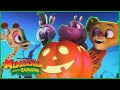 Marty Aprende uma Lição Assustadora! 🦇😲✨ | DreamWorks Madagascar em Português