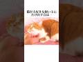 猫が大好きな人にだけ出す音の秘密【猫の雑学】猫の暴露8選😭#ねこ #ねこのきもち #雑学