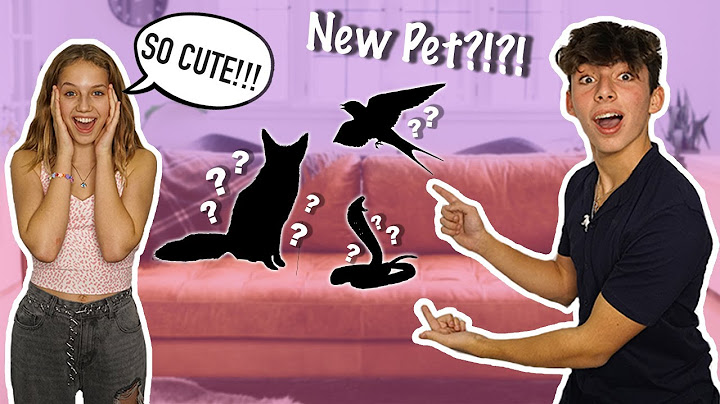MEET the New Member of MY FAMILY! I got a NEW PET!?!?!