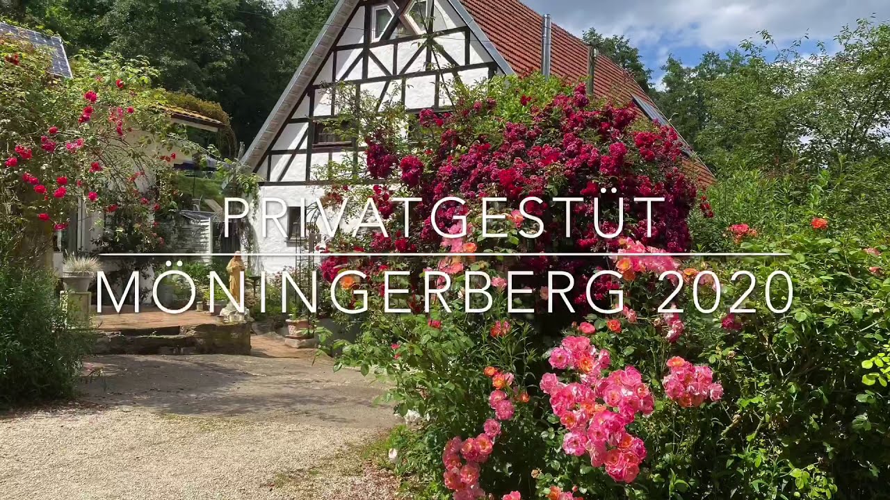 Privatgestüt Möningerberg - das ist der Möningerberg 2020