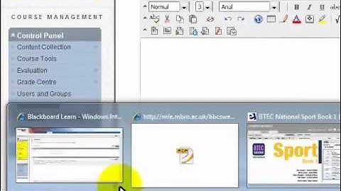 8   Adding Course Menu Item to Blackboard