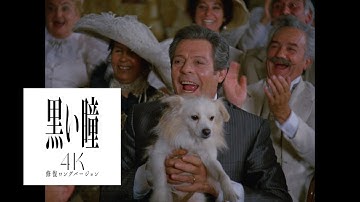 『黒い瞳 4K修復ロングバージョン』予告編