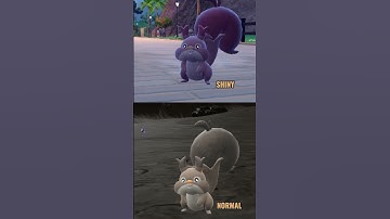 Masuda Method Hatching Skwovet for the SHINY!  #short #pokemonscarletandviolet   #shinypokemon