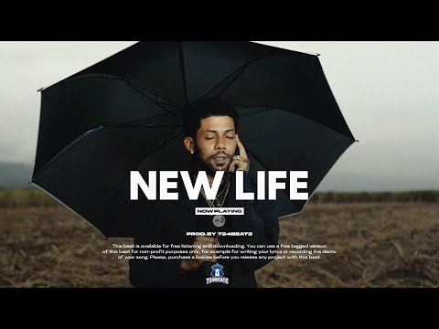 Dancehall Instrumental 2025 "New Life" Chronic Law Type Beat