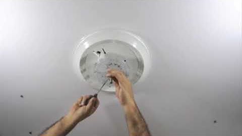 Introduction Overdrive MPLR