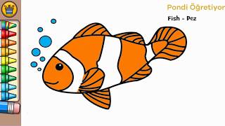 Hayvan Boyama / Balık Boyama / Boyama Oyunları screenshot 5