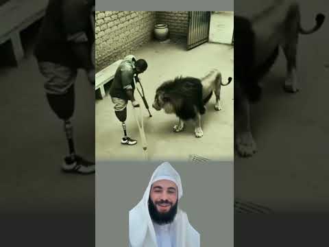 حسبان الله حين تتساوئ الأ جسادفي العجز عبارات اقنباسات دويتو  