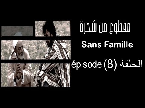 93      مقطوع من شجرة الحلقة 8