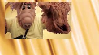 Alf & the Pussycats - Null Problemo (Official Video) (Yung Hurn Cover)