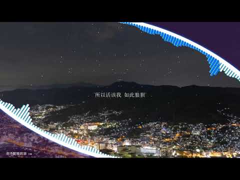 2020華語網絡流行音樂 ||《你不配我的淚》|| 付豪 || 動態歌詞