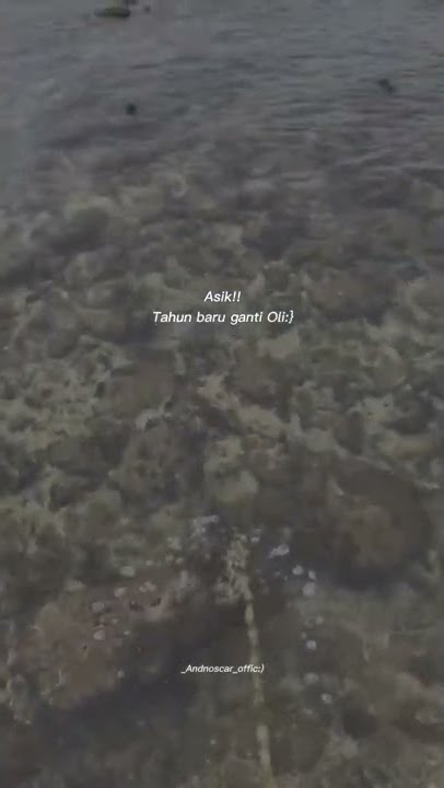 story wa 30 detik | asik tahun baru ganti oli