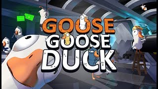 Goose Goose Duck s Chatem! | Gaming Stream