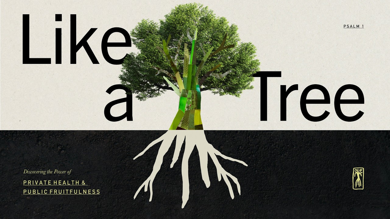 Like a Tree | Sermon Series Trailer