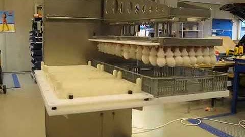 Luftstyret Automatisk Æggeoverflytter - Nordland Automatic A/S