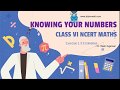 NCERT MATHS CLASS 6 EXERCISE 1.3 in Knowing our Numbers chapter