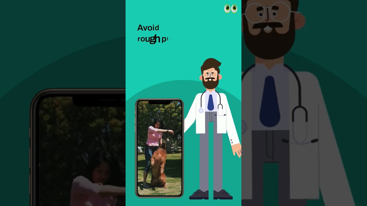 Bone Injury In Dogs | 