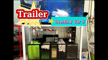 [Trailer] Overflow (ver5) / Thông Nguyễn .
