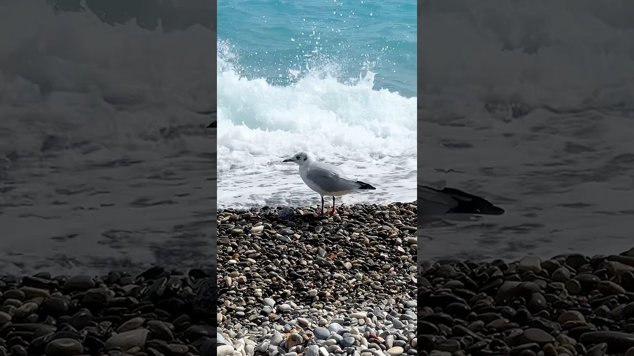 🌊Сезон 2025 закончен🥹fin de saison 🌊