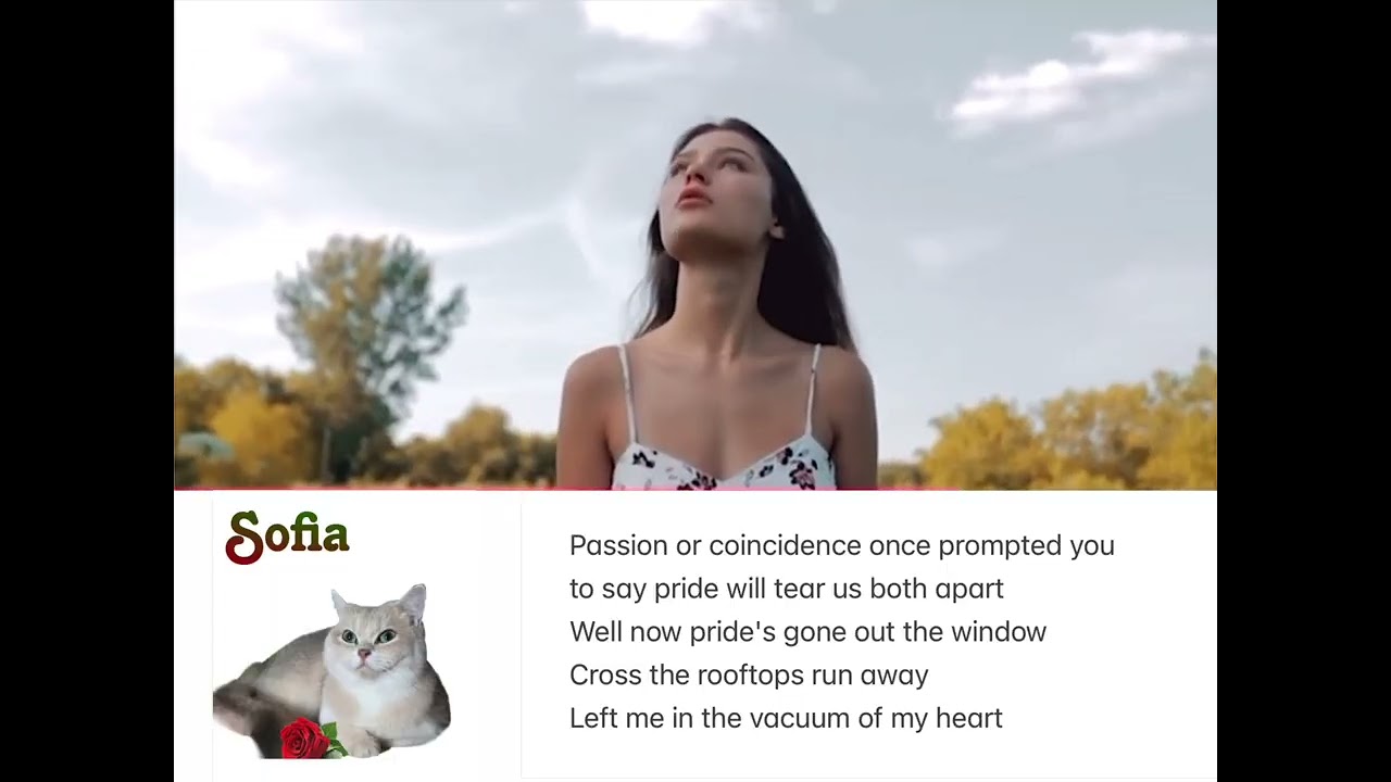 Ordinary World Cover With Lyrics