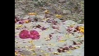 #DO #GULAAB #1983 :#REM#JUDA#NA#HONA2#( #KUNAL#GOSWAMI# AND MANISHA /#MANEESHA#KOHLI#)