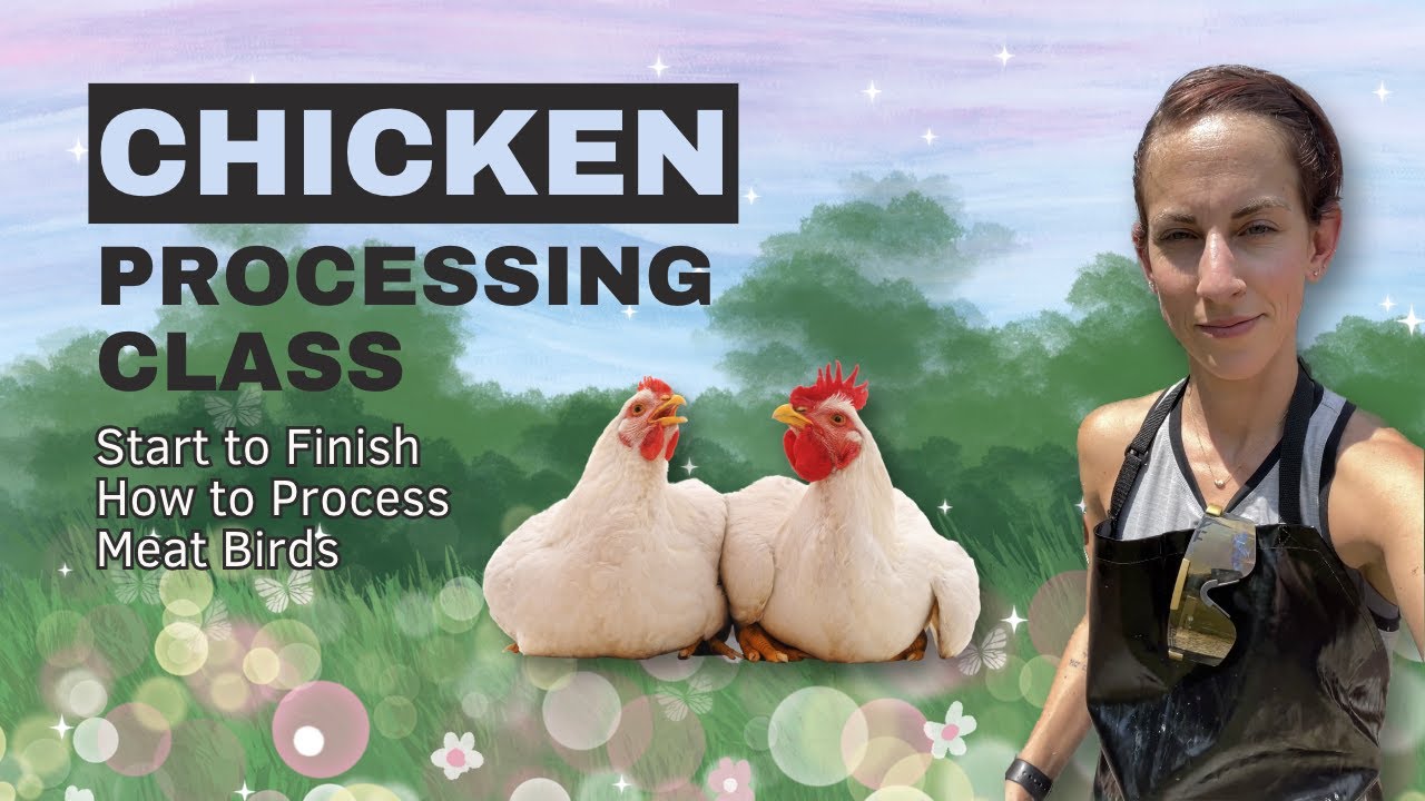 I took a CHICKEN PROCESSING class and want to share what I learned ...
