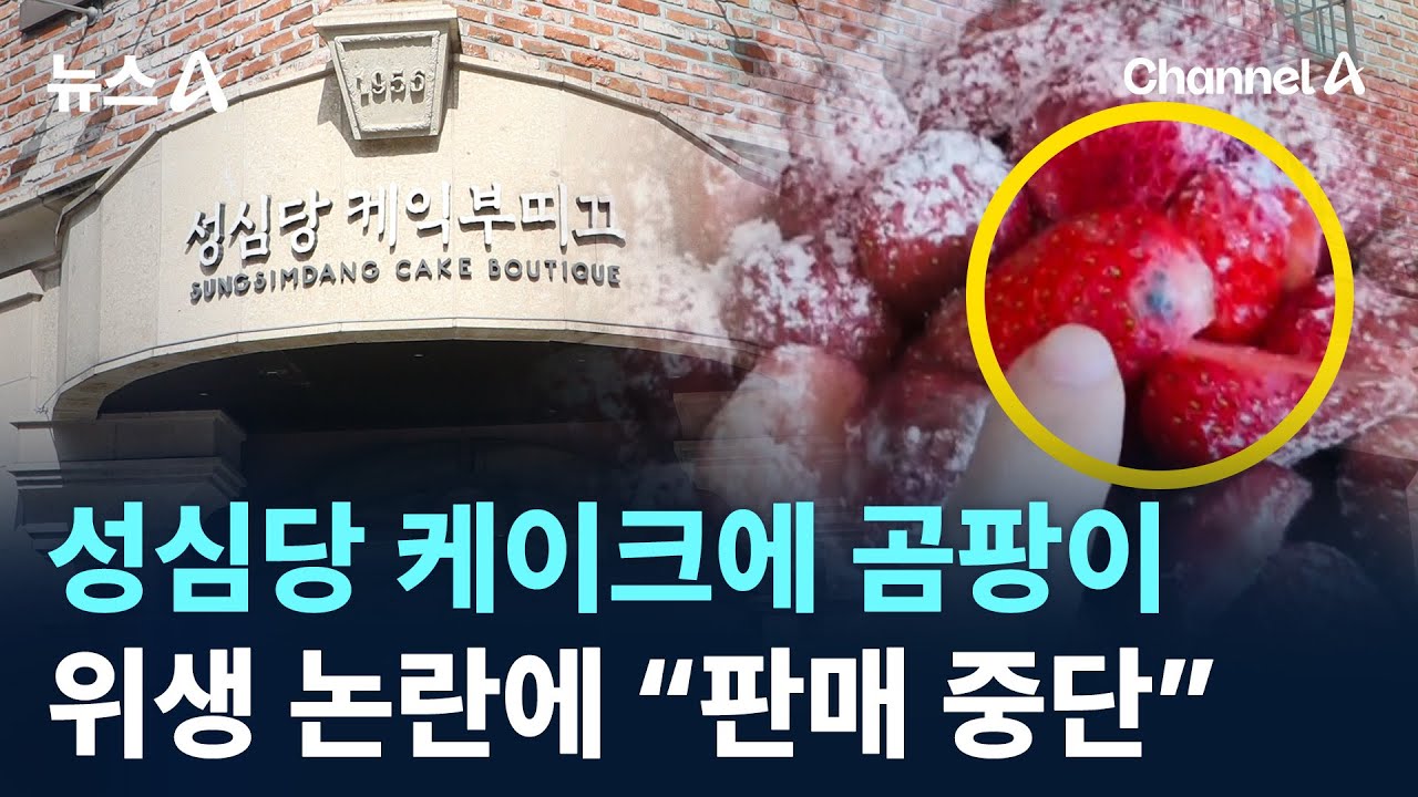 성심당 케이크에 곰팡이가…위생 논란에 “판매 중단” / 채널A / 뉴스A