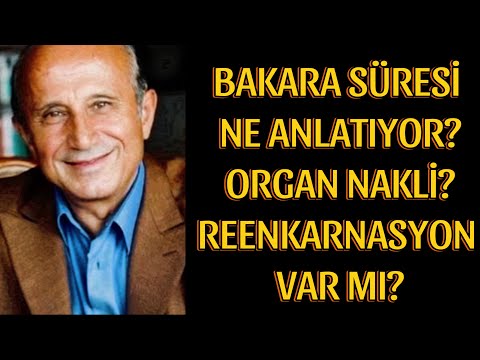 Bakara Suresi ne anlatıyor?Organ nakli caiz mi? REENKARNASYON var mı?