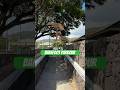 Barefoot speed course #Parkour #Barefoot #Hawaii