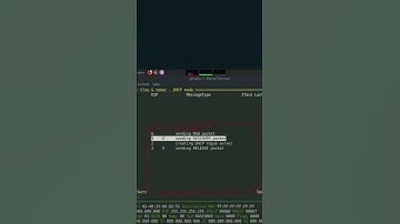 DHCP Starvation in Action: Ethical Attack Simulation with Yersinia