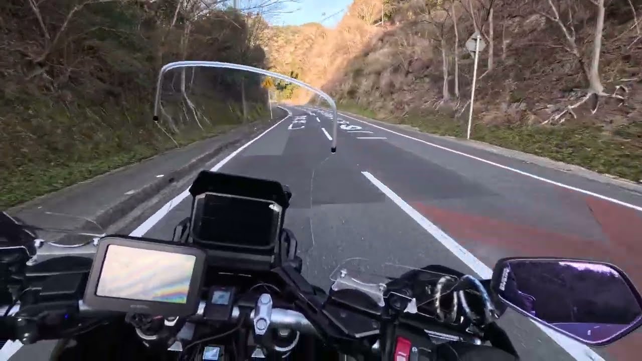 もみじロード → 長狭街道 → 佐久間ダムに頼朝桜（河津桜）を見に