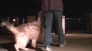 Blind Cross Flatwork