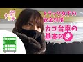 春の安全運転週間【トラック女子】の安全対策。心掛けていることは？ポン太さんのカゴ台車の基本！